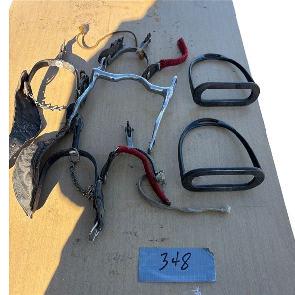 Spurs, Stirrups, Bridle