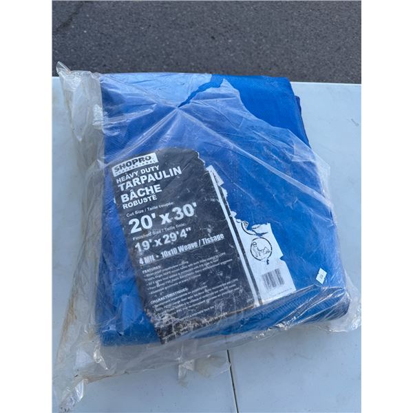 20 x 30 tarp