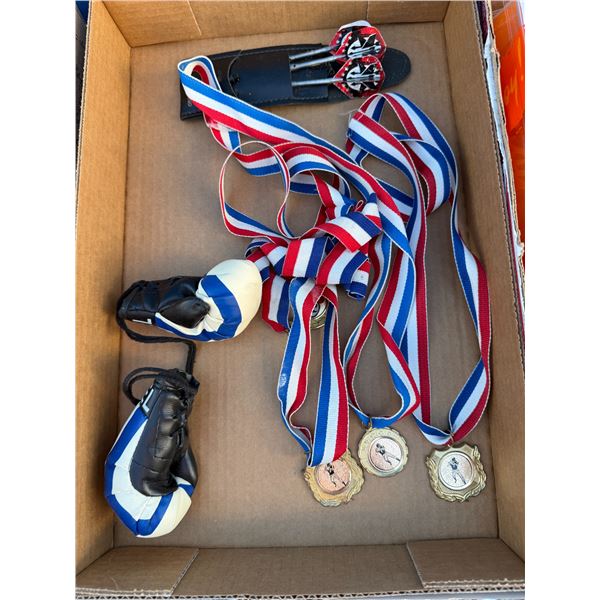 Darts boxing glove, decor, and medals