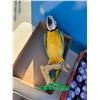 Image 1 : Vintage talking parrot