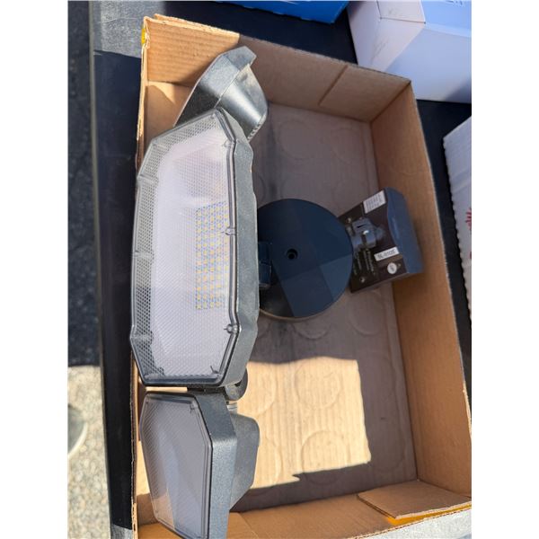 Security light