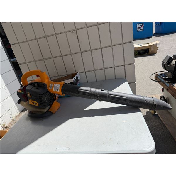 Poulan pro blower