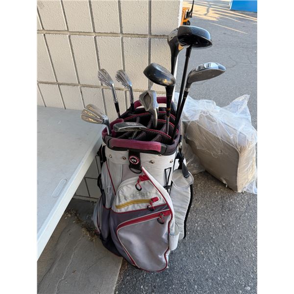 Golf clubs with bag