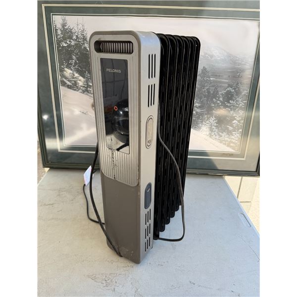 Pelonis heater