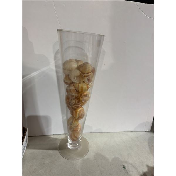 Shells in vase