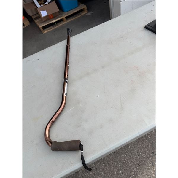 Adjustable cane