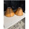 Image 1 : 2 lamp shades