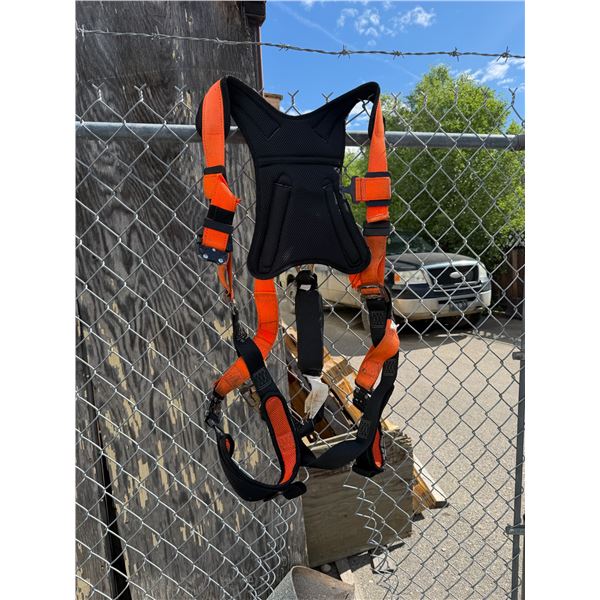 Harness