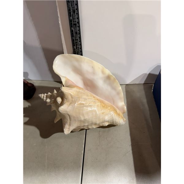 Shell