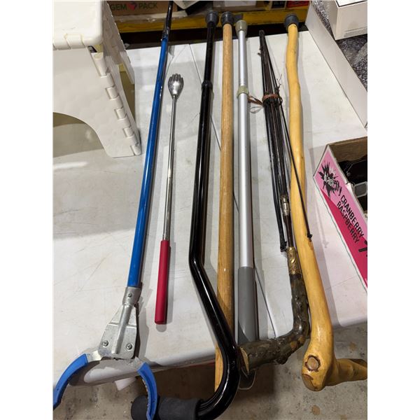 Walking sticks and picker