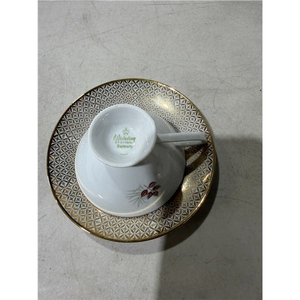Winterling, Germany teacup, and saucer