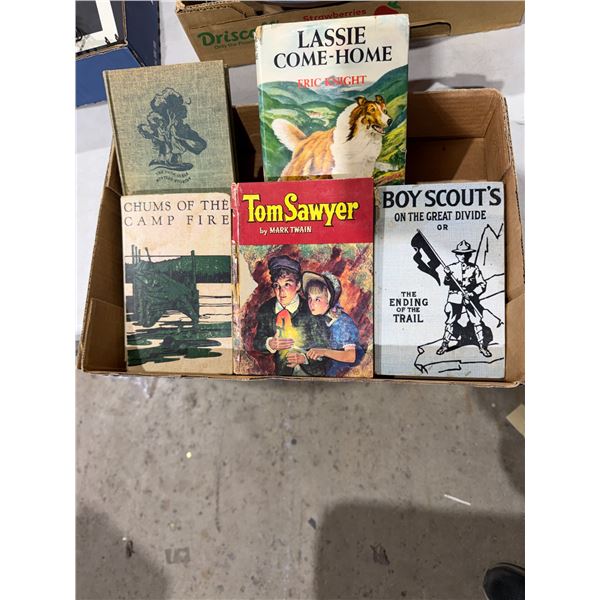 Boy Scouts, Tom Sawyer, and other Vintage books