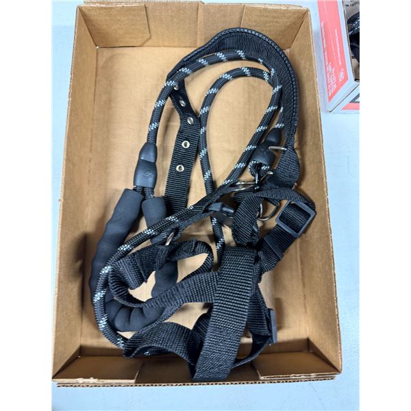 Pet leash and harness