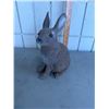 Image 1 : Bunny garden decor