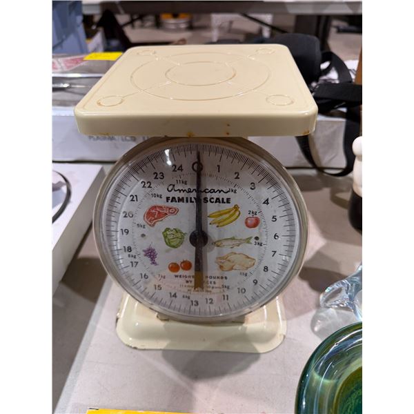 American family scale