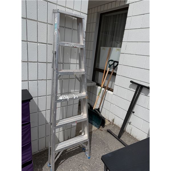 6 foot ladder
