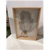 Image 1 : Home decor