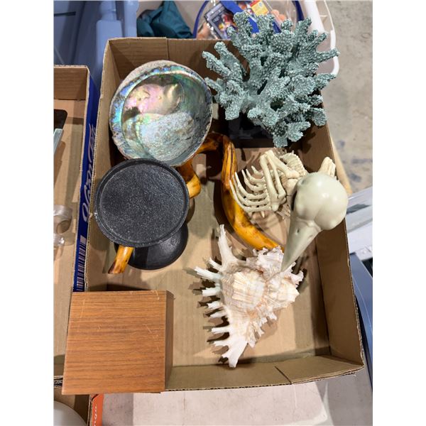 Decor, shells, etc.