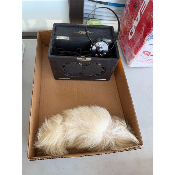 Acoustic and piece of fur