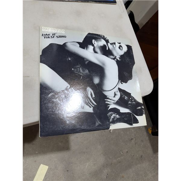 Scorpions love it first sting record