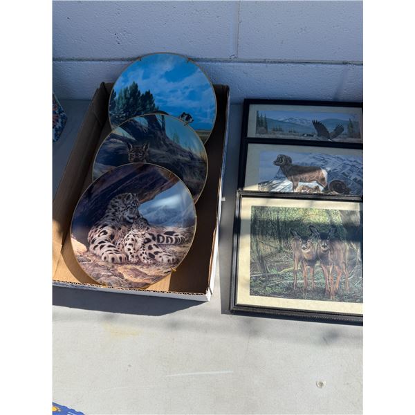 Collector plates, wildlife themed and three pictures