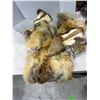Image 1 : Fur pelt