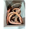 Image 1 : Rope