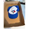 Image 1 : Blue Jays cap youth size