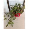 Image 1 : Artificial plant