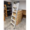 Image 1 : Feather light ladder