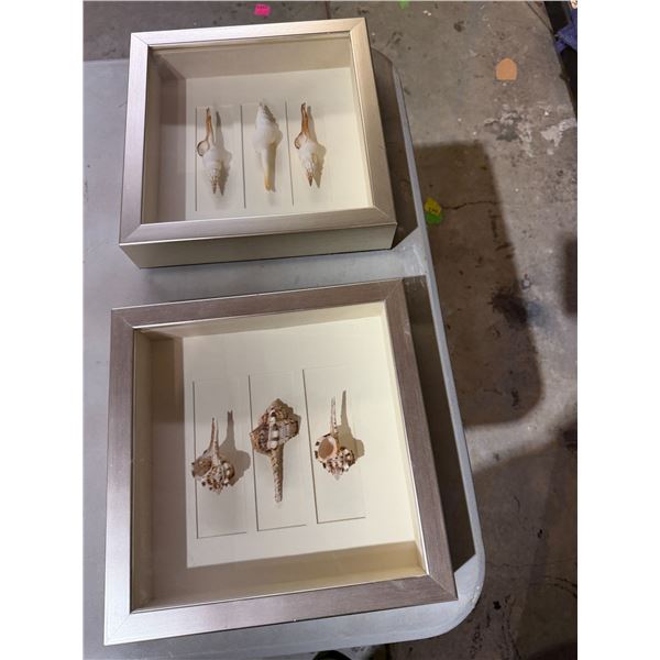 Shell wall decor