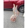 Image 1 : Howling Wolf decor