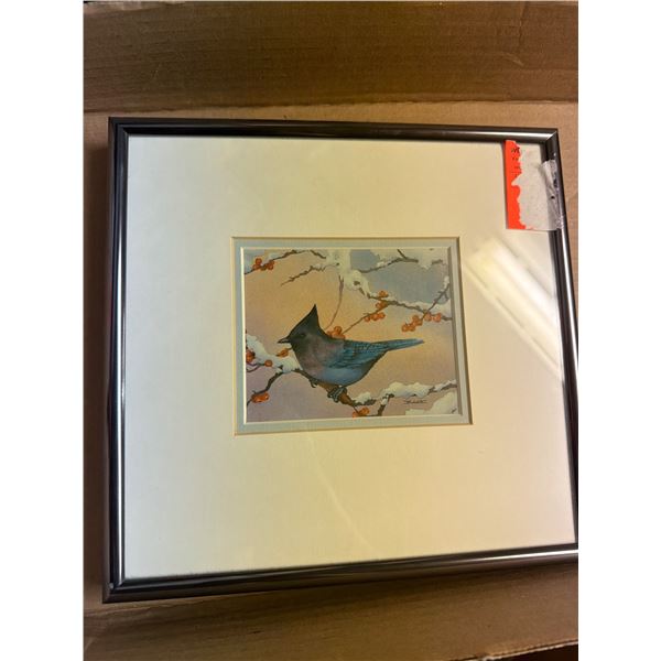 Bird artwork nine and three-quarter inches by 9 1/2 inches