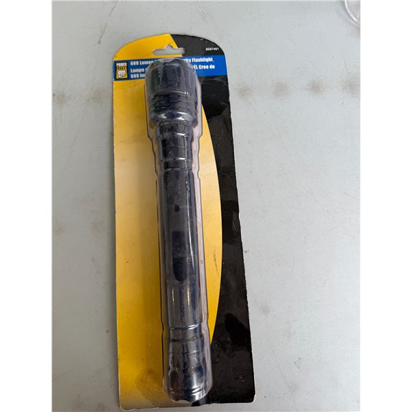 LED security flashlight
