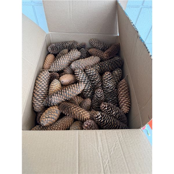 Crafting pine cones