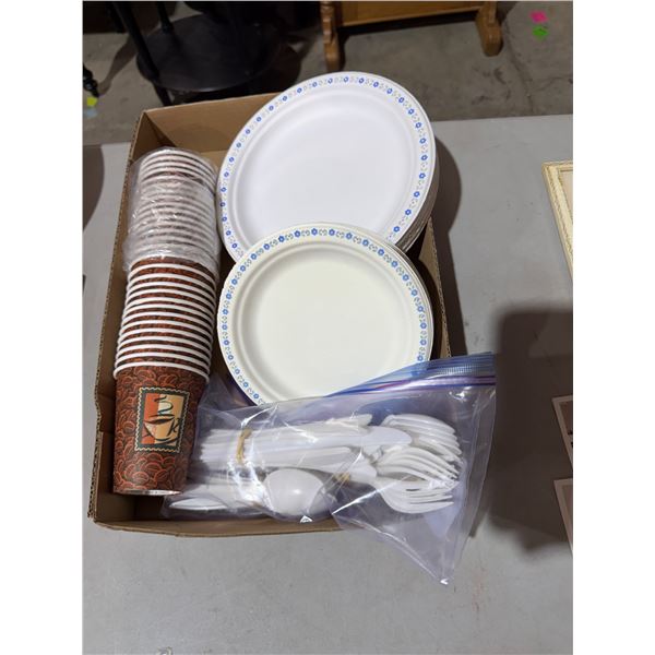 Disposable plates cutlery, cups