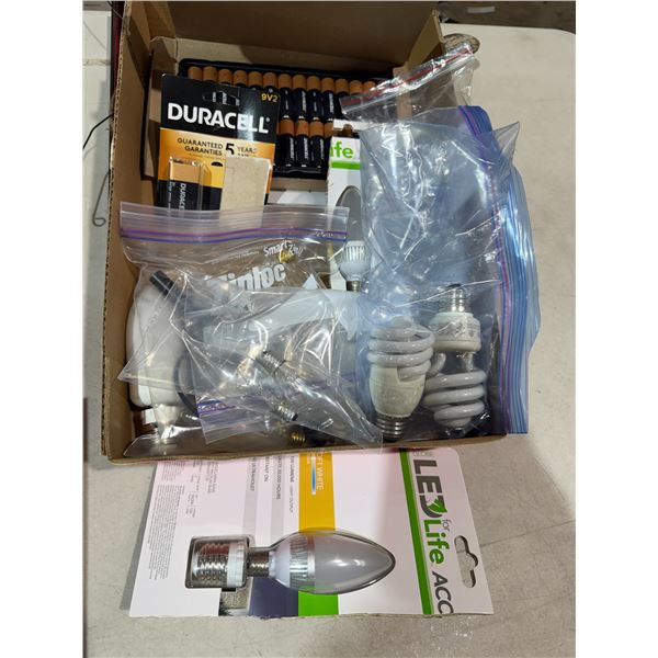Batteries and lightbulb