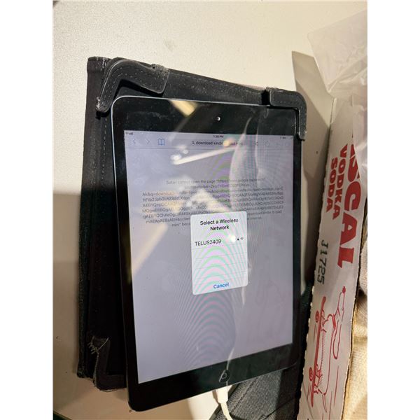 Apple iPad