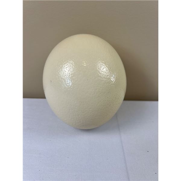 Ostrich Egg