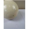 Image 2 : Ostrich Egg