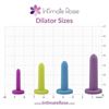 Image 3 : Intimate Rose 4PC Small Dilator Set for Pelvic Floor Controlled Dilation Therapy - NEW SEALED!