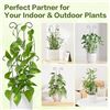 Image 1 : 6 Plant Trellis/Metal Plant Supports for Potted Plants; For Indoors/Outdoors (15.7" Height) - New
