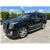 Image 1 : CADI ESCALADE 2015 T-REPO 2 DAYS