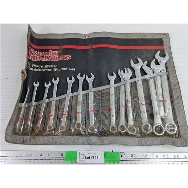 Popular Mechanics Metric Combination Wrench Set