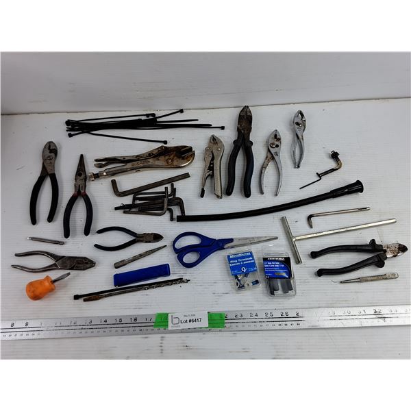 Vise Grips, Pliers, Hex Keys, Zip Ties, Needle Nose Pliers, Misc