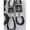 Image 3 : Replacement Drive Belts- (2)Torque