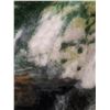 Image 2 : Panda Throw Blanket 73" x 70" - PICK UP