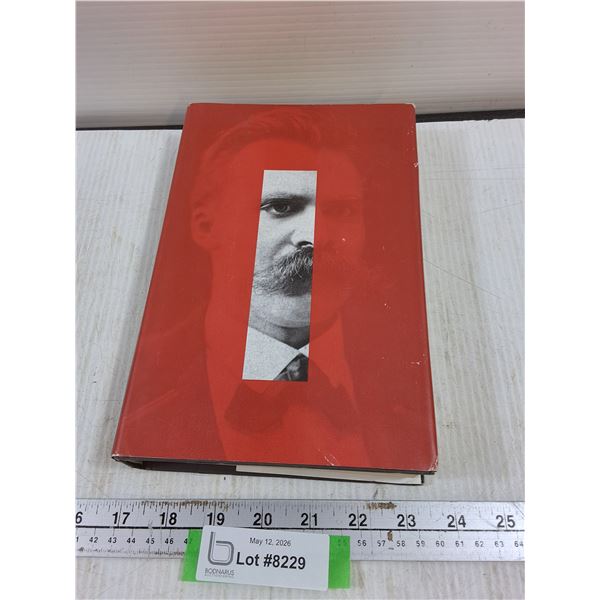 Nietzsche I Am Dynamite Book