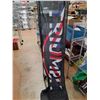 Image 1 : Triumph Banner 89" x 22"