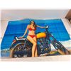Image 2 : (3) Motorcycle Flags